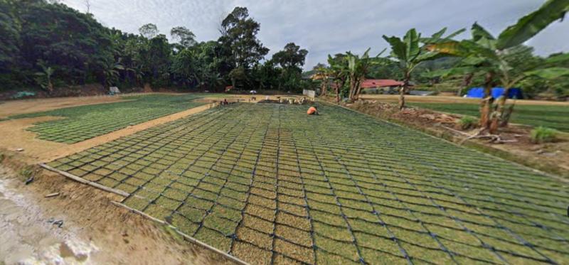 Sungai Buloh 3.9 Acre Agriculture Land for sale - 5