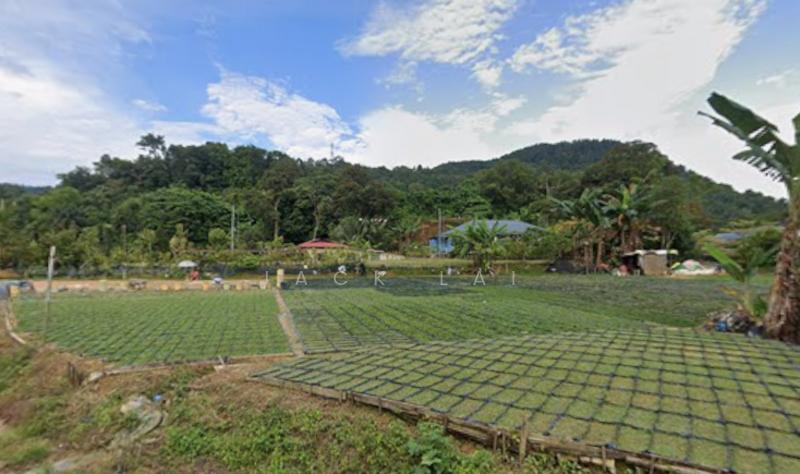 Sungai Buloh 3.9 Acre Agriculture Land for sale - 2