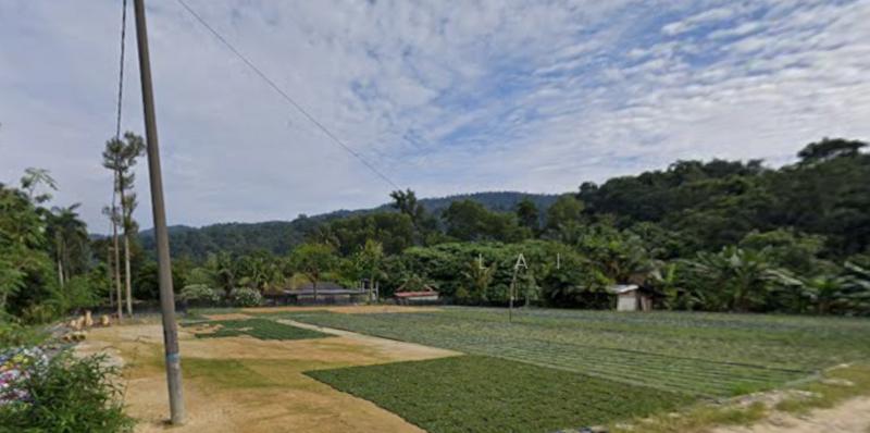 Sungai Buloh 3.9 Acre Agriculture Land for sale - 1