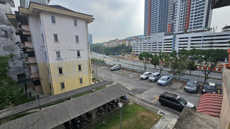 Palma Perak - 4