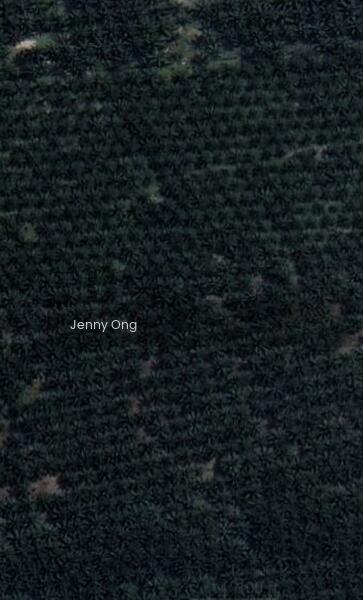 Zoning Residential Land At,Kulim, Kedah For Sale - 2