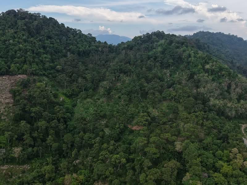 LAND SALE AT GERTAK SANGGUL AGRICULTURAL LAND 14.149 ACRE FREE HOLD 100 ++ DURIAN TREE - 2