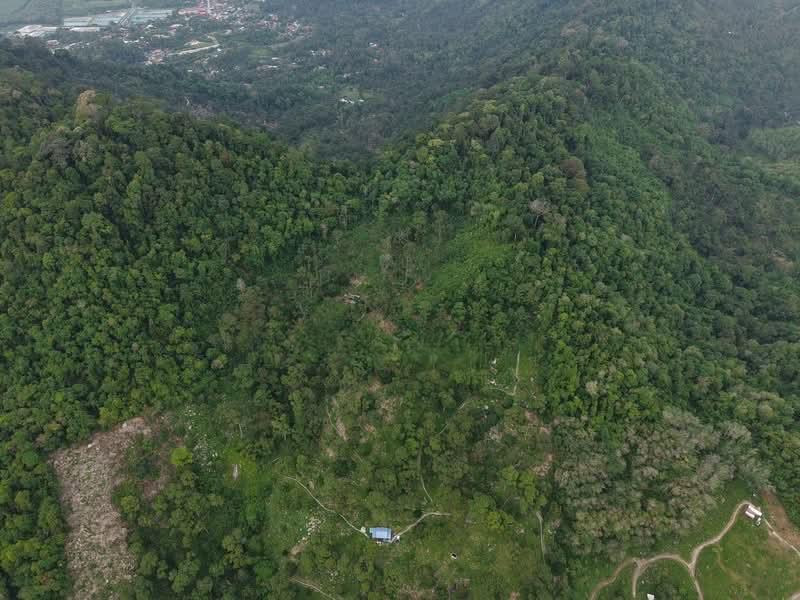 LAND SALE AT GERTAK SANGGUL AGRICULTURAL LAND 14.149 ACRE FREE HOLD 100 ++ DURIAN TREE - 4