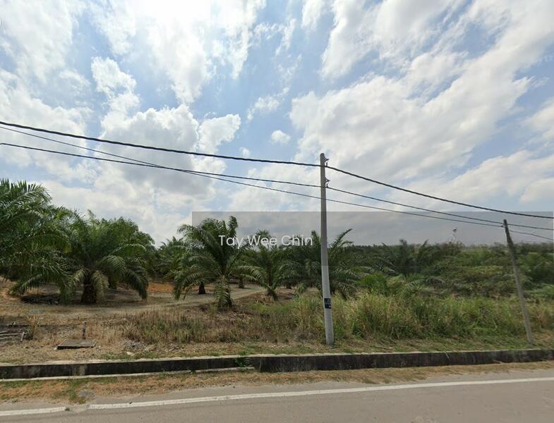 Kluang Renggam Industrial Land - 3