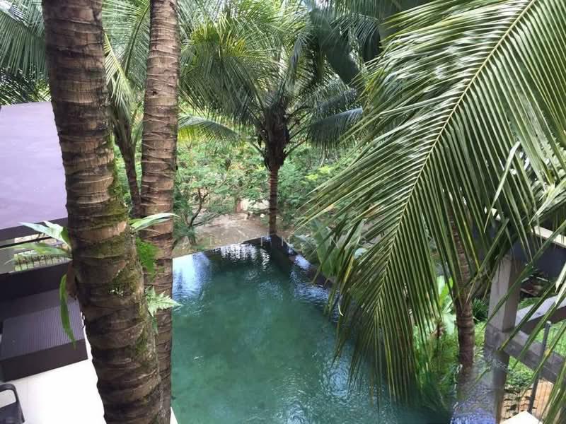 Setiahills - 3