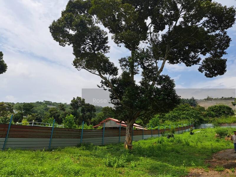 Kundor Hilir Matured Durian Farm Seremban Negeri Sembilan - 5