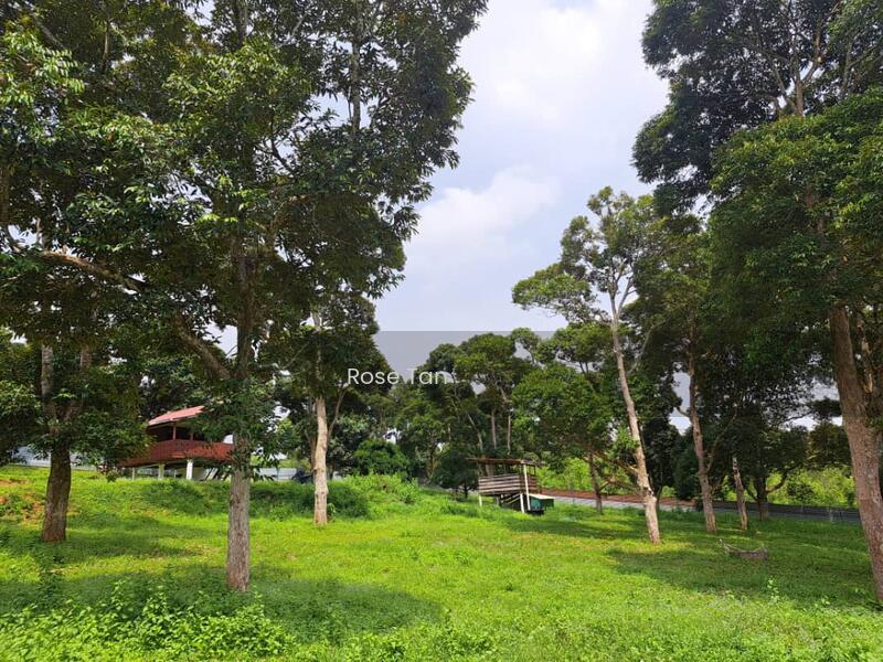 Kundor Hilir Matured Durian Farm Seremban Negeri Sembilan - 3