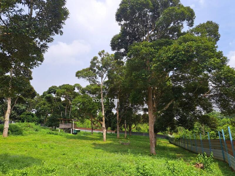 Kundor Hilir Matured Durian Farm Seremban Negeri Sembilan - 2