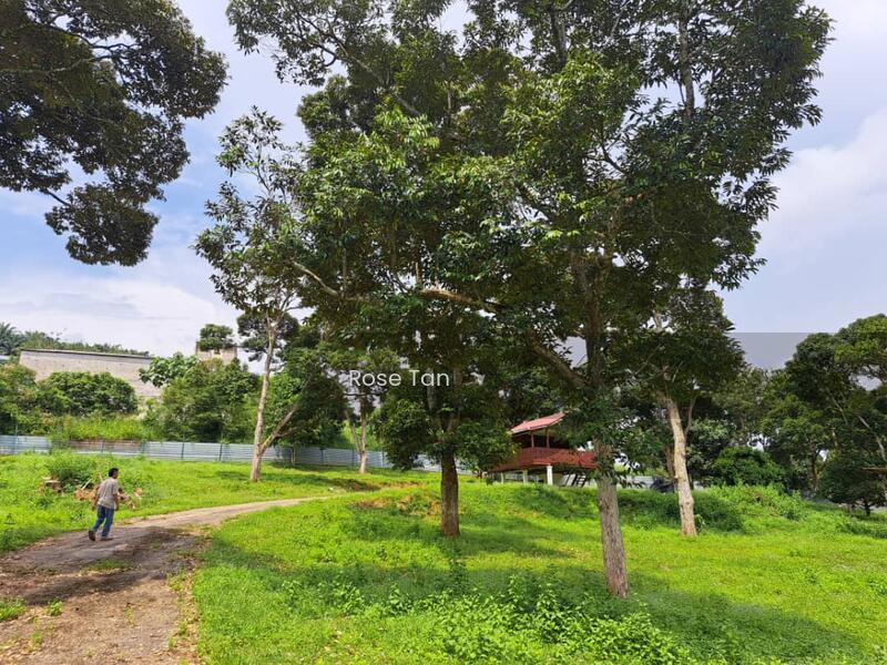 Kundor Hilir Matured Durian Farm Seremban Negeri Sembilan - 4