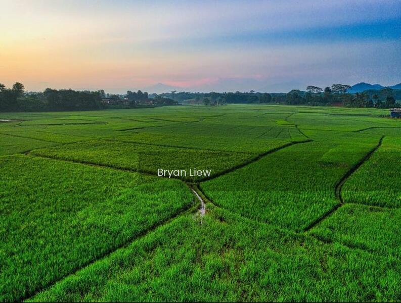 Sepang , 43950 , Selangor - 3
