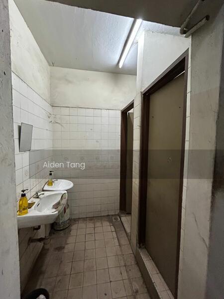 Mount Austin Mounts Austins - 3