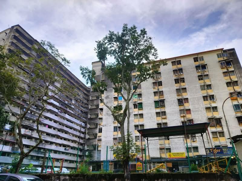 Taman Paya Terubong - 3