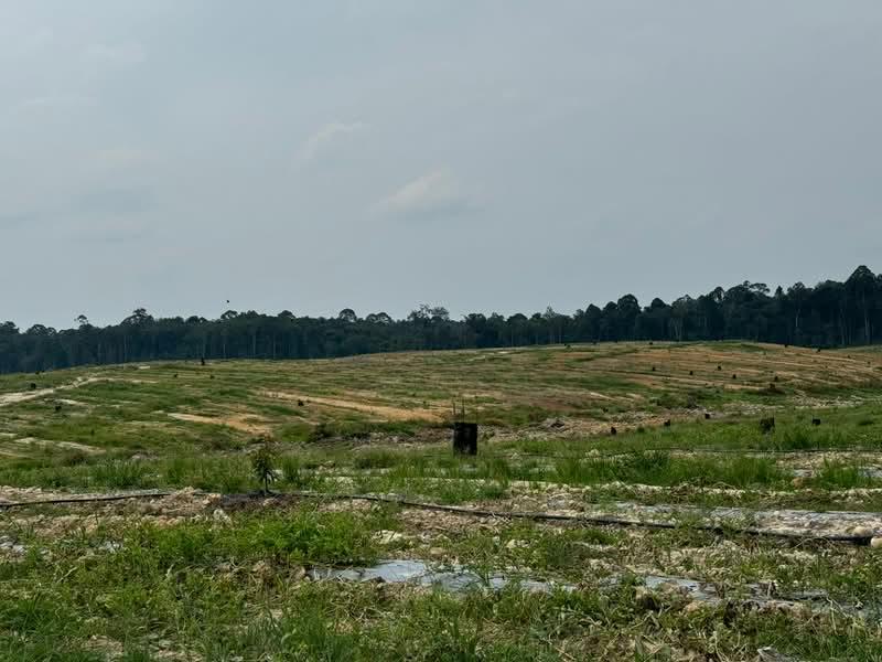 Pulau Indah , Klang , Selangor - 2