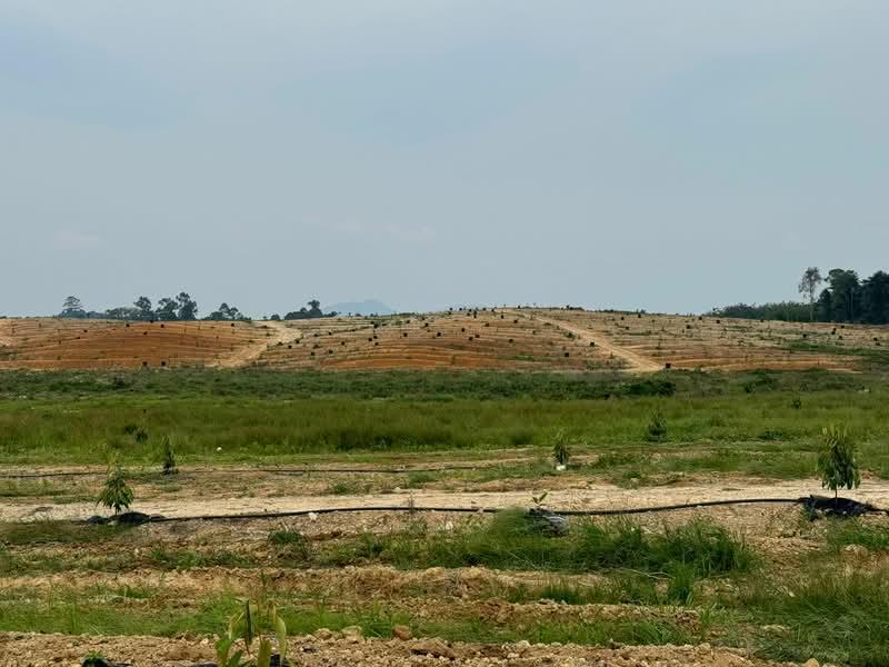 Pulau Indah , Klang , Selangor - 5