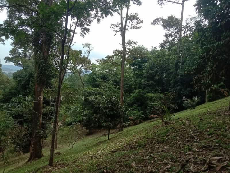Dusun Tua, Hulu Langat - 3