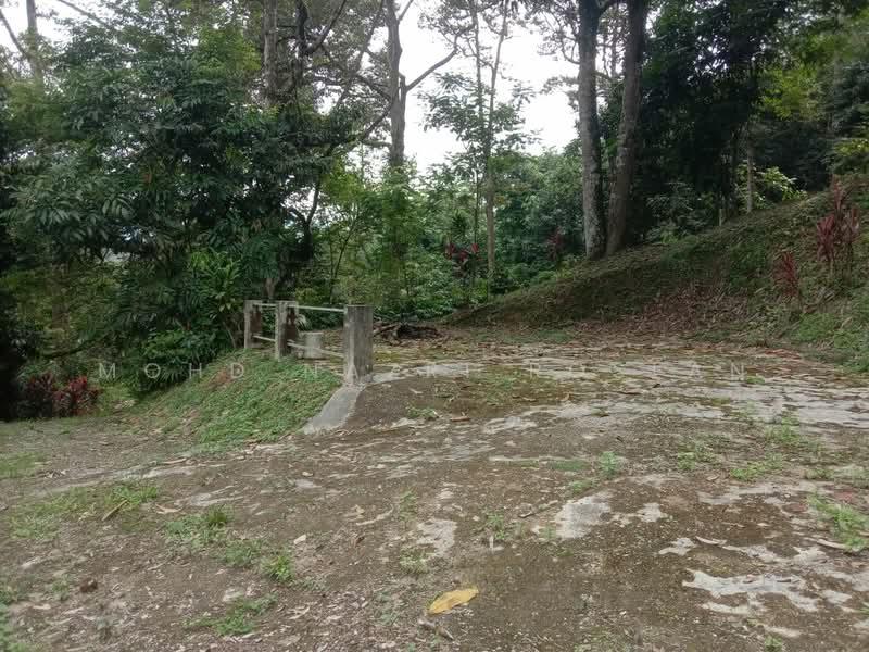 Dusun Tua, Hulu Langat - 5
