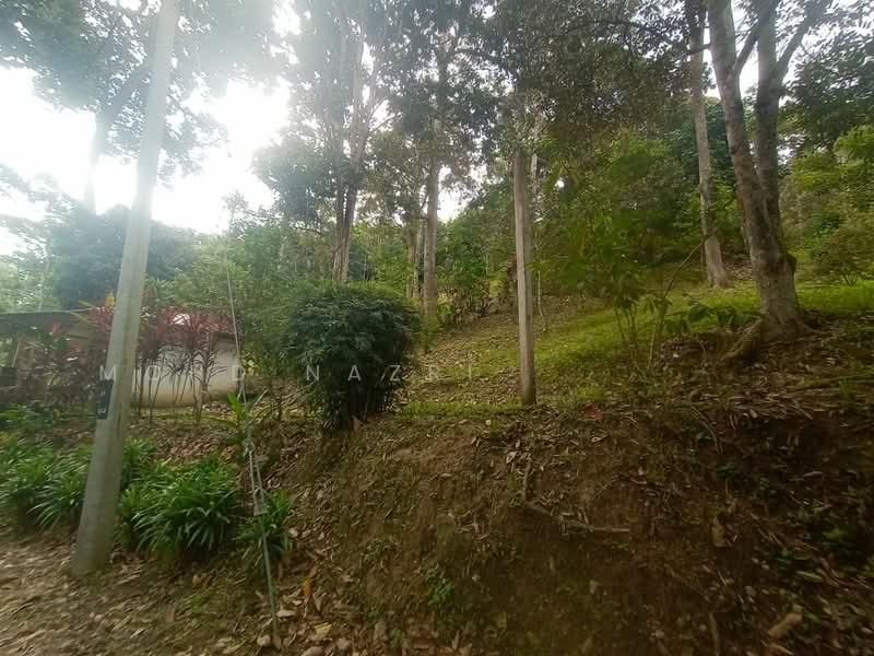 Dusun Tua, Hulu Langat - 2