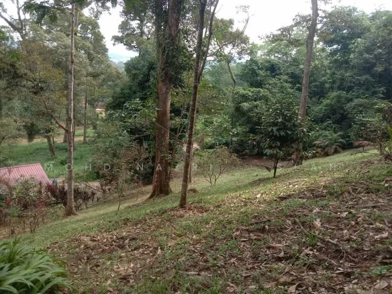 Dusun Tua, Hulu Langat - 4