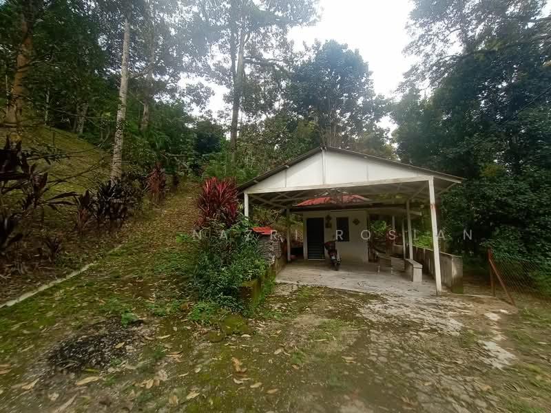 Dusun Tua, Hulu Langat - 1
