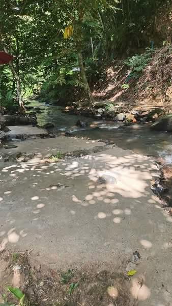 Kampung Kemensah - 3