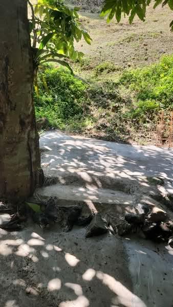 Kampung Kemensah - 4