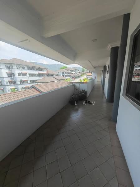 Allamanda - 2