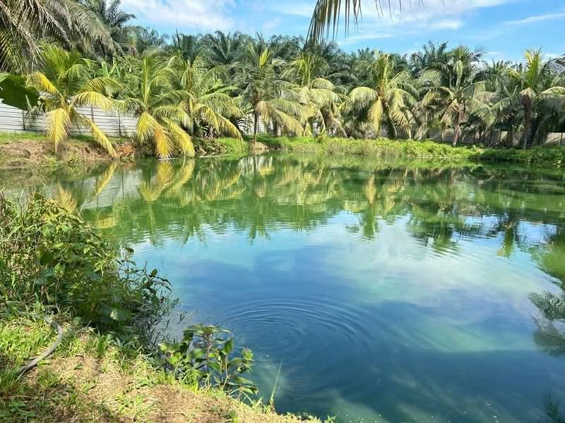 Plentong land sale - 1