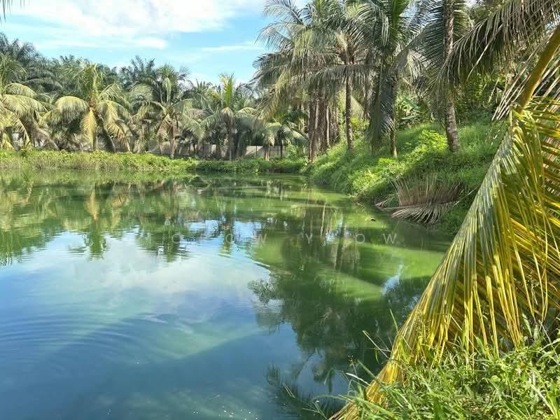 Plentong land sale - 5