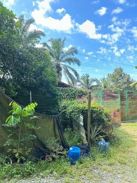 Plentong land sale - 3