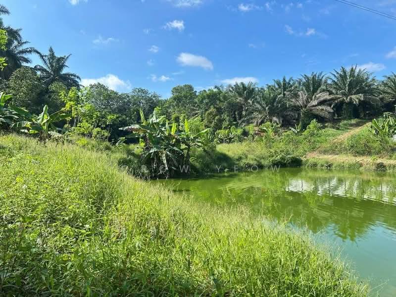 Plentong land sale - 4