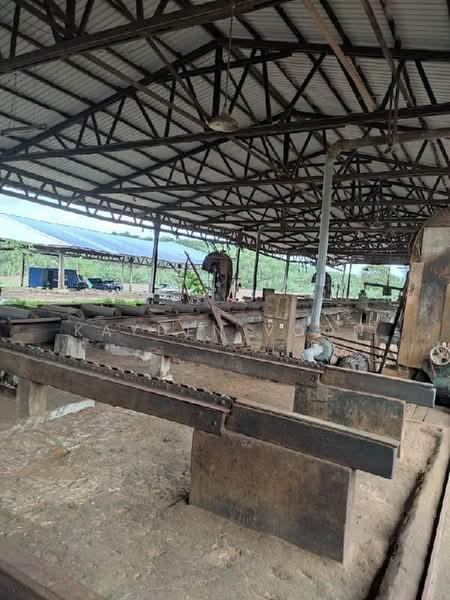 Mersing Industry Land Factory - 4