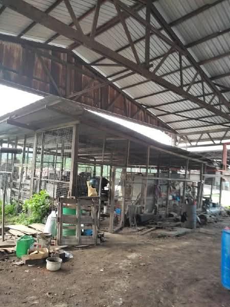 Mersing Industry Land Factory - 3