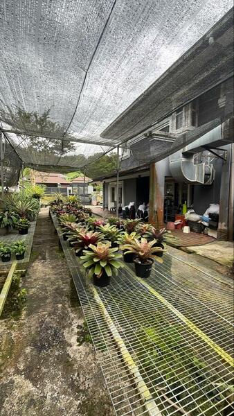 Bukit Antarabangsa - 5