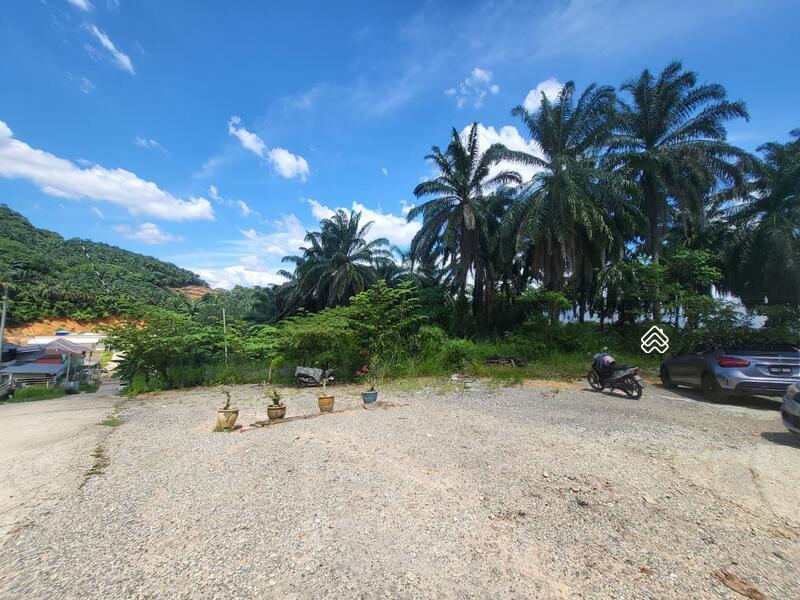Tanah Pertanian Bukit 1.1 ekar di Lorong Setia 3 Kuang, Sungai Buloh Selangor - 4