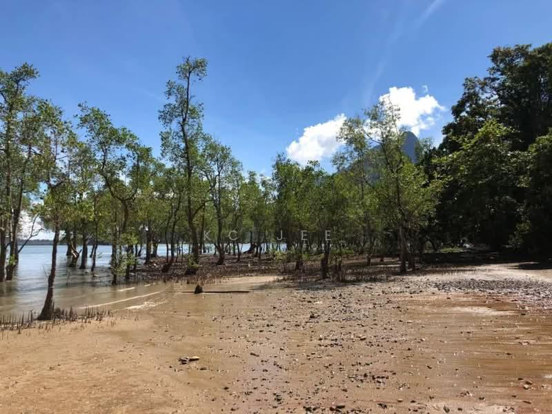 Pasir pandak 1st lot seaside native land - 2