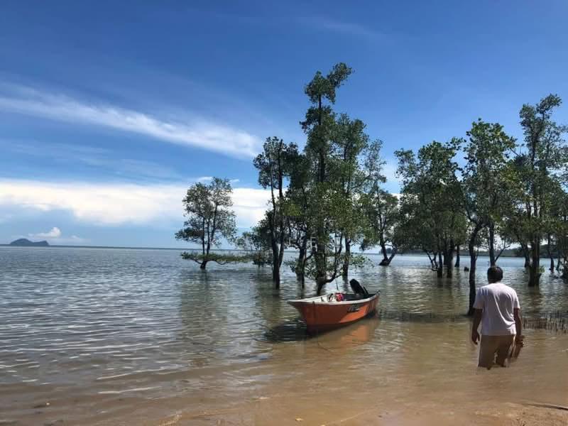 Pasir pandak 1st lot seaside native land - 3