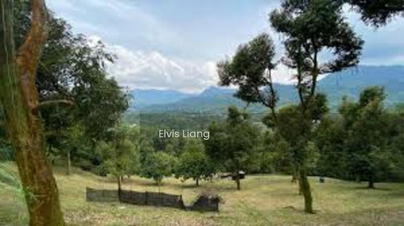 Durian Orchard Bayan Lepas, Penang - 2