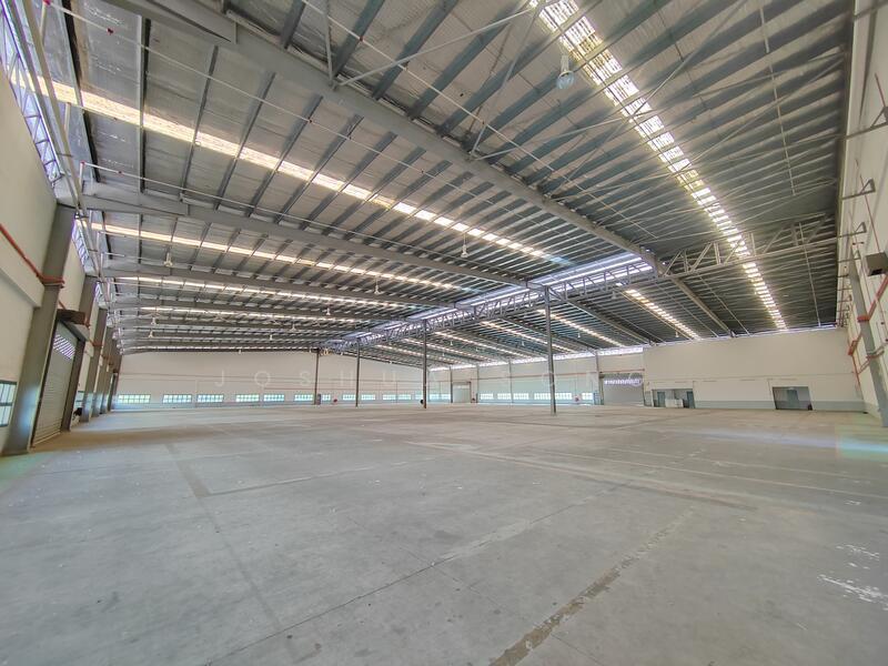 Seelong Seelongs - 2