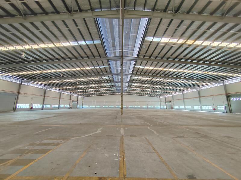 Seelong Seelongs - 4