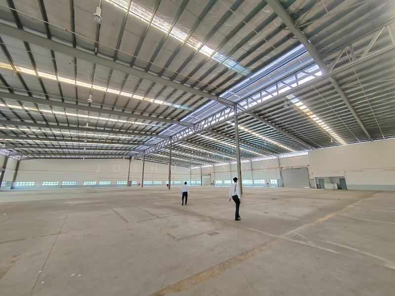 Seelong Seelongs - 3