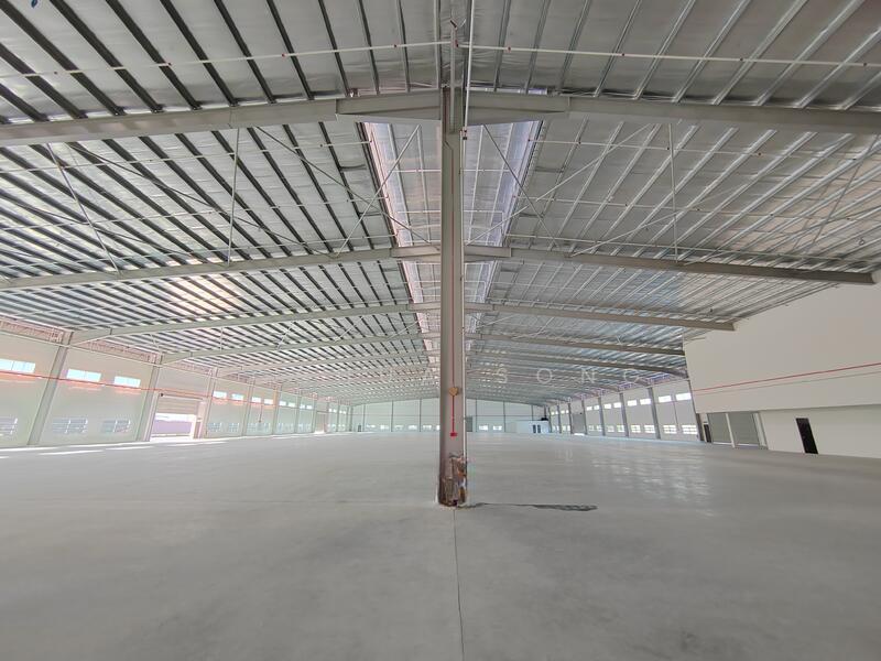 Seelong Seelongs - 1