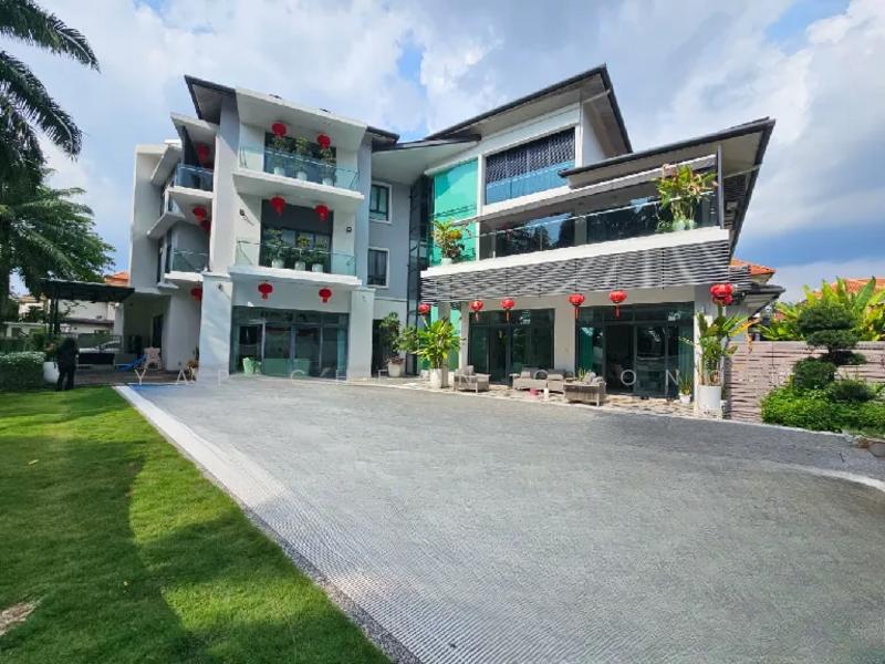 Oncidium Heights - 1