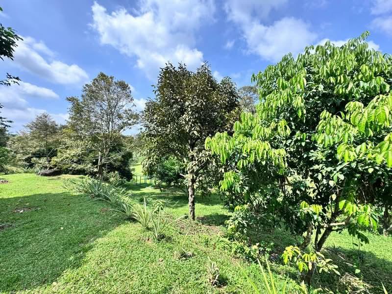 Kota Tinggi Land - 3