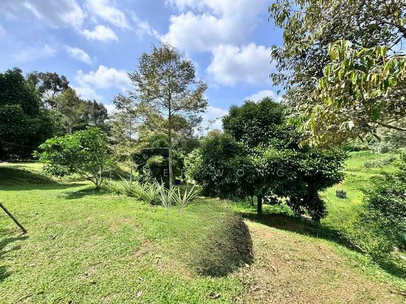 Kota Tinggi Land - 1