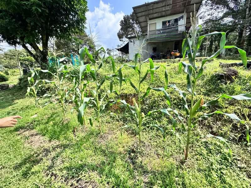 Kota Tinggi Land - 4