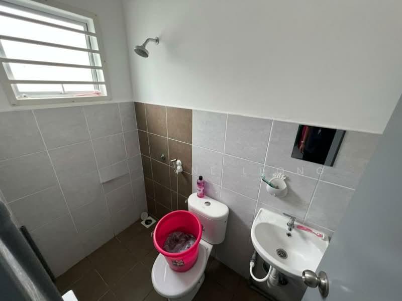 Sari Alamanda - 5