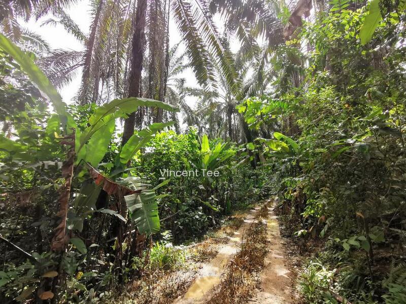 18Acres Land Zoned Residetial Next to Taman Gemilang Bidor - 2