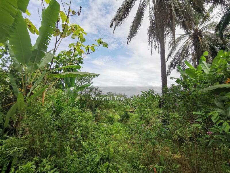 18Acres Land Zoned Residetial Next to Taman Gemilang Bidor - 3