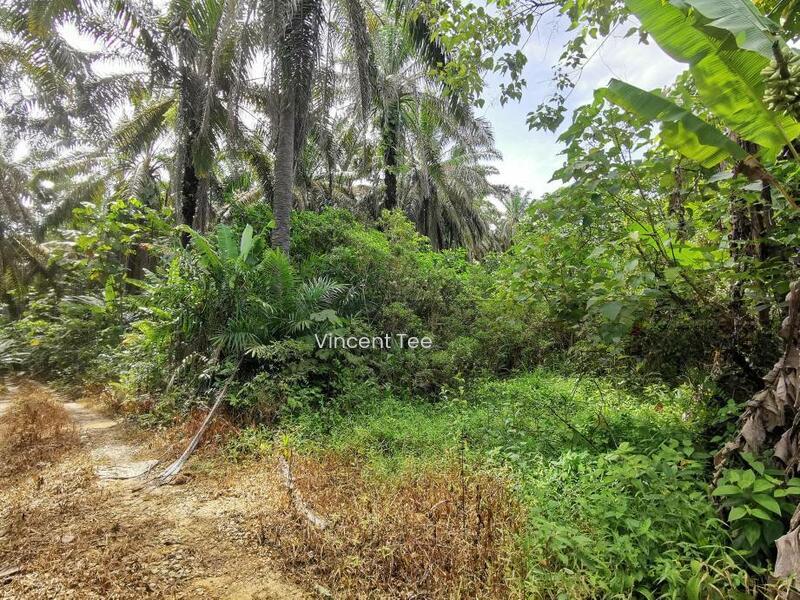 18Acres Land Zoned Residetial Next to Taman Gemilang Bidor - 5