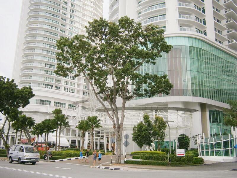 Gurney Paragon - 5
